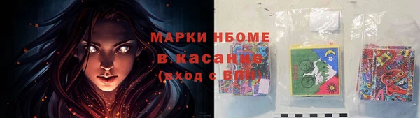 гашик Гусь-Хрустальный