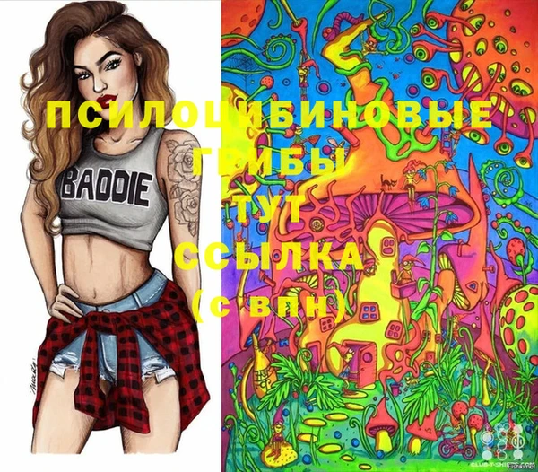 PSILOCYBIN Надым