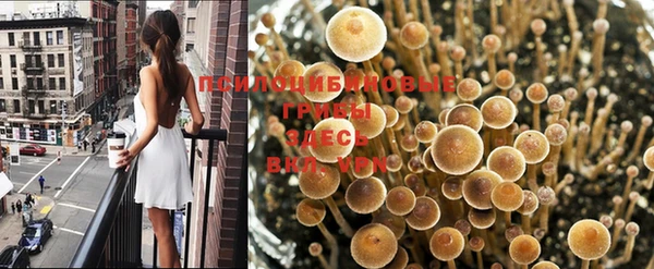 ешки Навашино