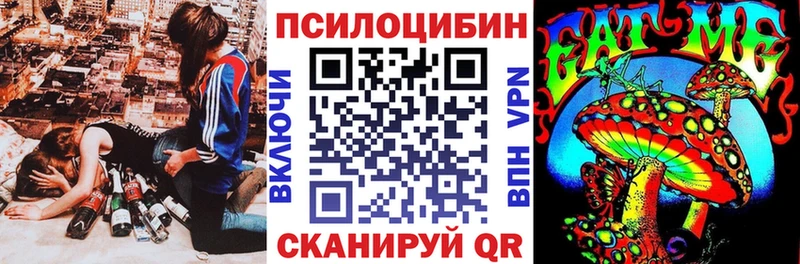 Галлюциногенные грибы Psilocybine cubensis  Енисейск 